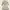 Japanese brand Cosplay Coquette Wanita white cream photo 1