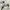 Nike Casual Sneakers Pria white blue photo 7