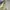 Komik NextG 2 Buku 40.000