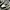 AMIRI Casual Sneakers Pria white black photo 8