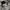 AMIRI Casual Sneakers Pria white black photo 2
