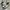 AMIRI Casual Sneakers Pria white black photo 1