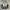 AMIRI Casual Sneakers Pria white black photo 7