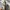 Maison Margiela Casual Sneakers Pria white cream photo 8