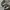 Maison Margiela Casual Sneakers Pria white cream photo 7