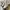 Maison Margiela Casual Sneakers Pria white cream photo 1