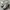 Maison Margiela Casual Sneakers Pria white cream photo 2