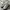 Maison Margiela Casual Sneakers Pria White Cream