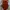 Jersey Arsenal Home 2024/25 Original photo 2