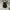 Carhartt Streetwear Bag Pria black photo 1