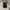 Carhartt Streetwear Bag Pria Black