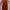 Jersey Arsenal Home 2026/2027 Long Sleeve Original With Tag photo 2