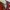 Jersey Arsenal Home 2026/2027 Long Sleeve Original With Tag photo 8