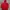 Carhartt Gorpcore Puffer Jacket Pria Red