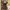 Y2k Deep Green Striped Babydoll