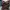  pink n black lace floral babydoll photo 3