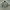 WHO.AU chore military jacket photo 4