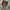 WHO.AU chore military jacket photo 6