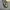 Y2k Grunge Vintage Versace Collection Shoulder Bag Check photo 5