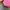 Shoulder/Hand Bag Hermes Massai GM Pink Leather Riri Zipper photo 6
