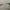 Balenciaga Y2K Luxury Sunglass Pria silver photo 4
