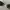 Balenciaga Y2K Luxury Sunglass Pria silver photo 3