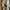 Luxury Lolita Wrap dress Wanita multicolor photo 3