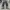 Vintage Streetwear Jeans Pria silver gray photo 4