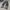 Vintage Streetwear Jeans Pria silver gray photo 3