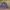 NEPA Sportswear Windbreaker Wanita pink photo 1