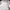 Jungle Storm Red PolkaDot White Casual Shirts photo 8