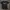 Gildan Streetwear Casual T-shirt Pria black photo 1