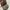 Fossil Emilia small Crossbody photo 6