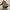 Fossil Emilia small Crossbody photo 4