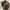Fossil Emilia small Crossbody photo 10