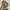 Fossil Emilia small Crossbody photo 3