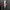 Sweatshirt Neil Barrett Bolt photo 6