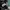 Sweatshirt Neil Barrett Bolt photo 4