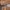 ZARA Luxury Avant Garde Heels Wanita tan photo 4