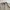 Polo shirts Zipper Polo Brithist Beige photo 3