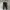Jogger Nike  photo 3