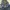 Hoodie Russell Thermaforce Dri-power Fleece Navy photo 6