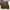 Adidas Vintage Streetwear Windbreaker Pria brown photo 4