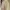 Balenciaga Vintage Luxury Bomber jacket Pria cream photo 5