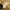 Balenciaga Vintage Luxury Bomber jacket Pria cream photo 2