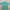 Authentic AAPE by A Bathing Ape Basic Tee SS24 Green Size M  photo 2