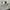 A Halfzip White A Big Logo photo 8