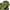 Fieldcore Casual Suit Pria multicolor photo 2