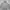 Dickies Streetwear Hoody Pria gray photo 2