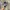 Streetwear Avant Garde Pria multicolor photo 4
